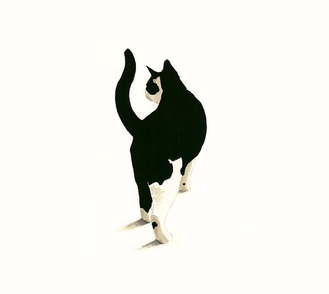 My Cat People