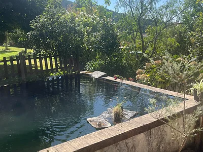 Neighbourhood Gardener