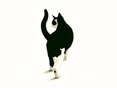 My Cat People