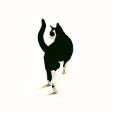 My Cat People